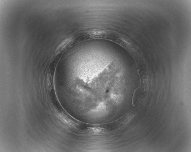 X0000079340654200611251858