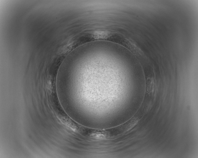 X0000079340655200611251858