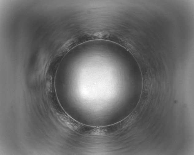 X0000079340656200611251858