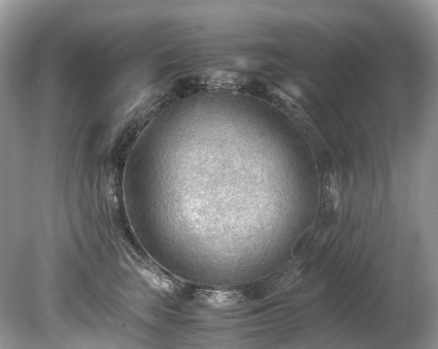 X0000079340663200611251858