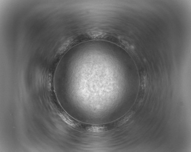 X0000079340664200611251858