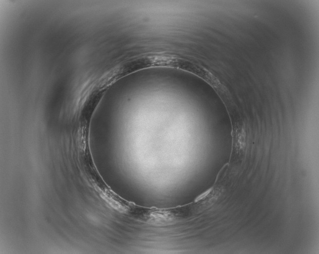 X0000079340666200611251858