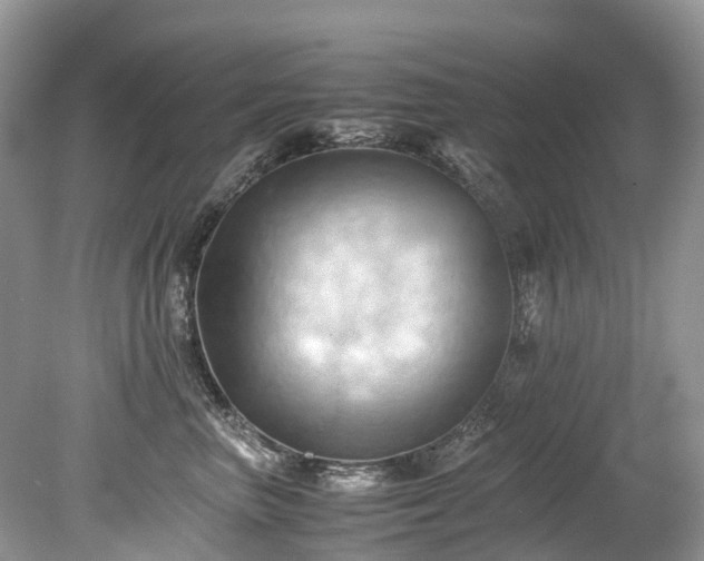 X0000079340667200611251858
