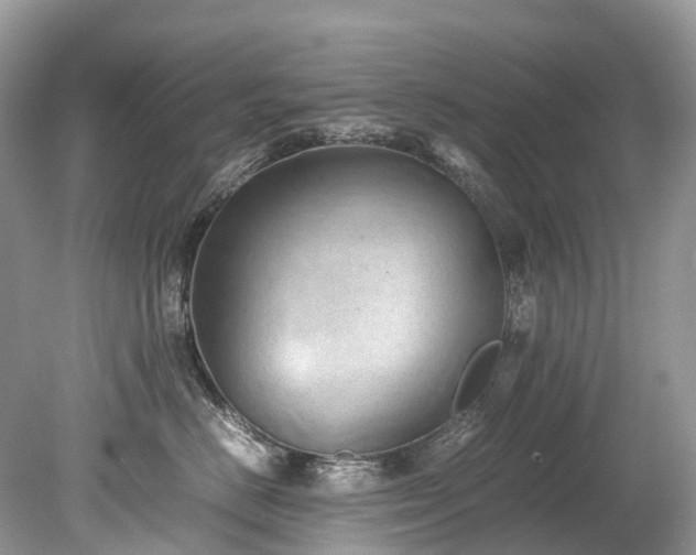 X0000079340670200611251858