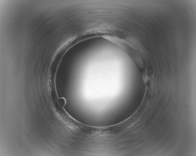X0000079340680200611251857