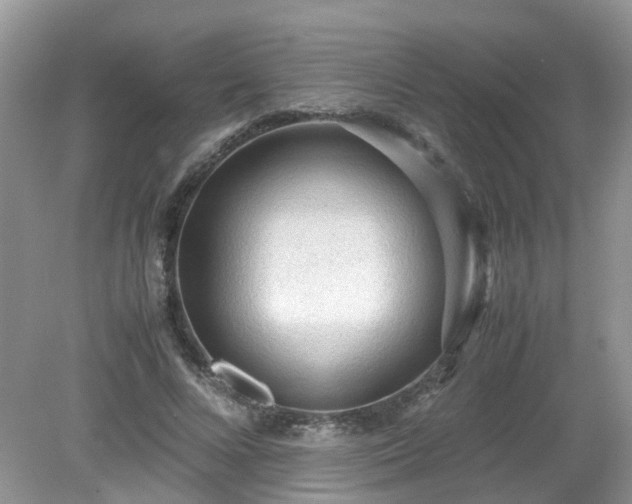X0000079340688200611251857