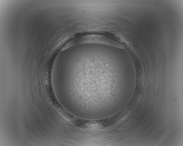 X0000079340689200611251857