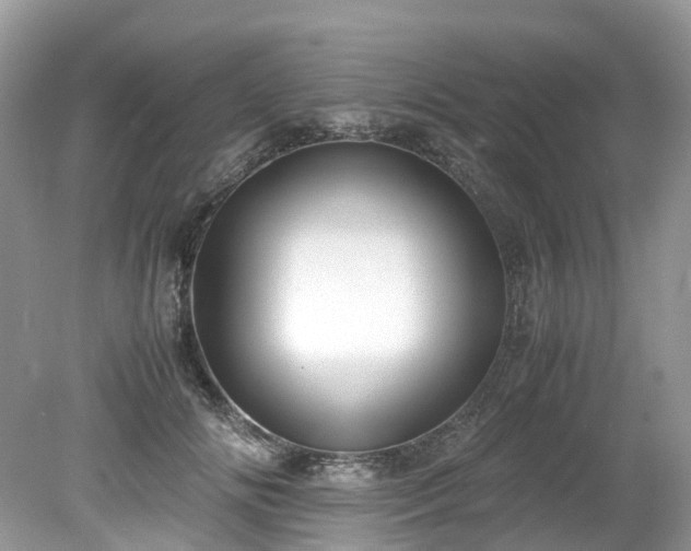 X0000079340702200611251857