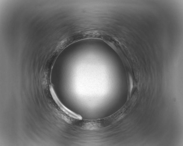 X0000079340708200611251857