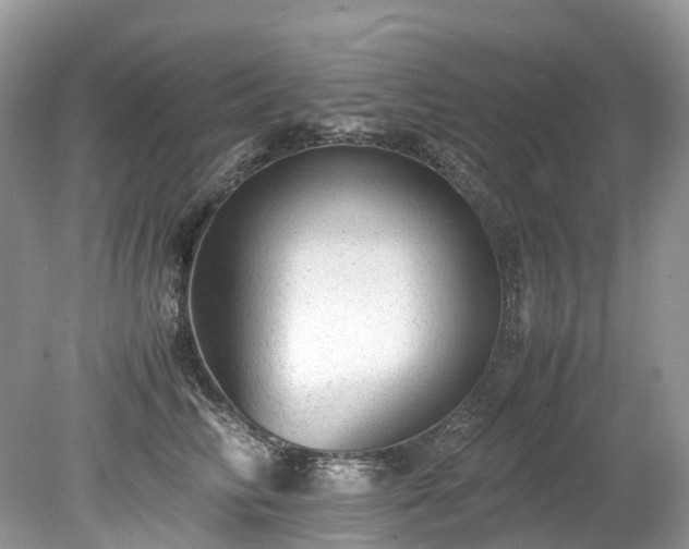 X0000079340710200611251857
