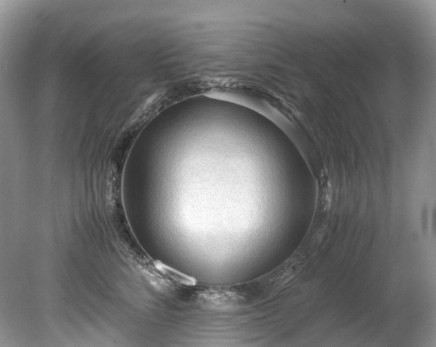X0000079340712200611251857