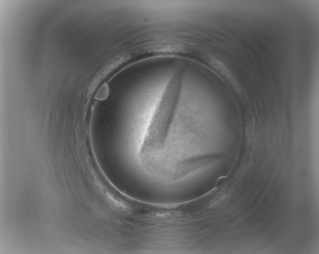 X0000079340721200611251856