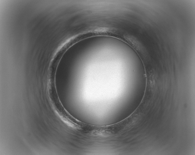X0000079340728200611251856