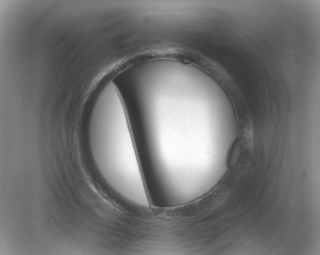 X0000079340732200611251856