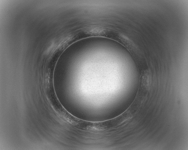 X0000079340739200611251856