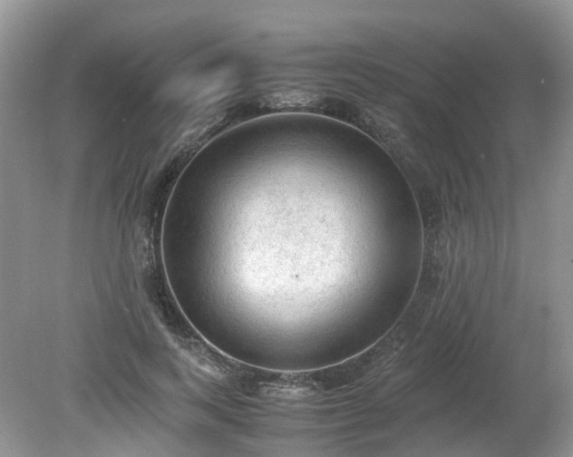 X0000079340743200611251856