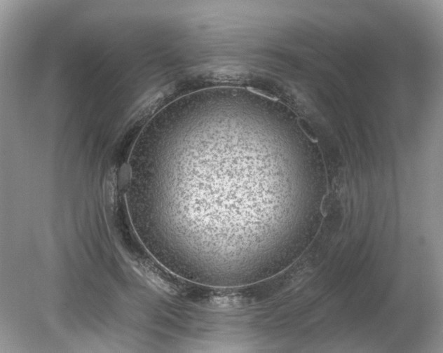 X0000079340744200611251856