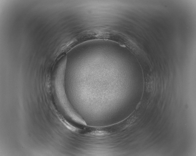 X0000079340748200611251856