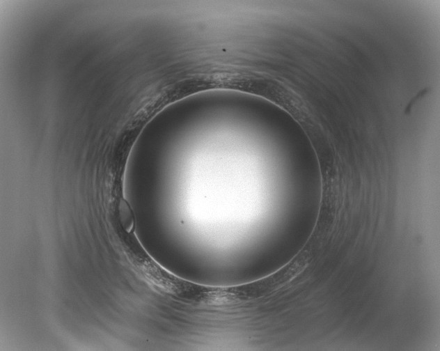 X0000079340750200611251856