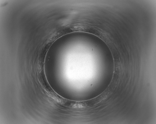 X0000079340751200611251856