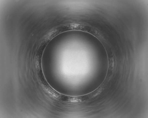 X0000079340754200611251856