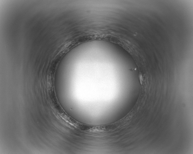 X0000079340756200611251856