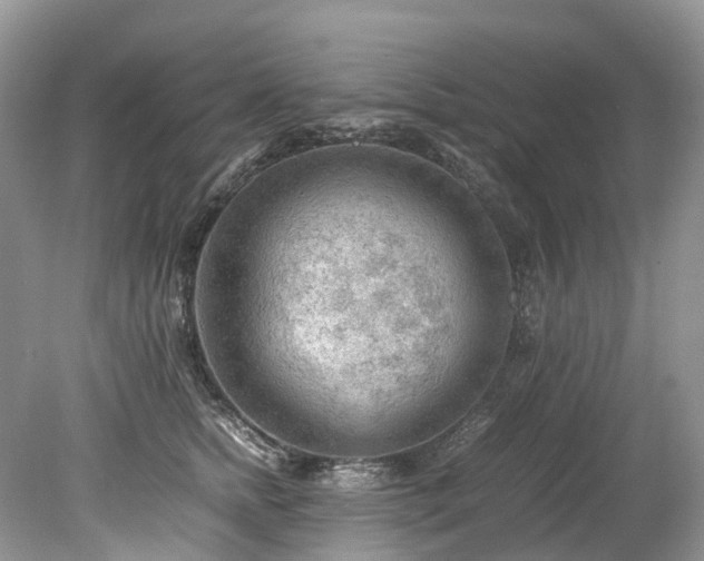 X0000079340758200611251856