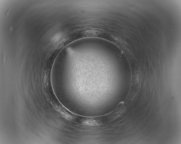 X0000079340759200611251856