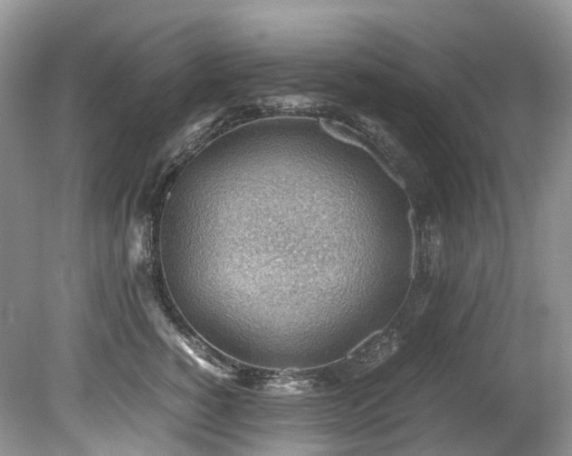 X0000079340760200611251856