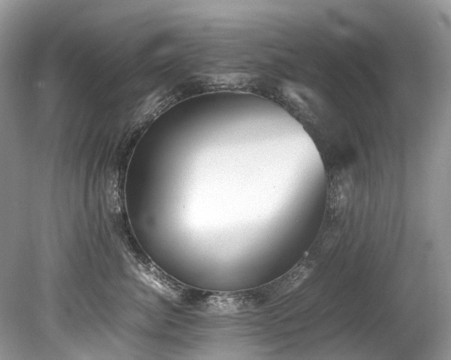 X0000079340764200611251856