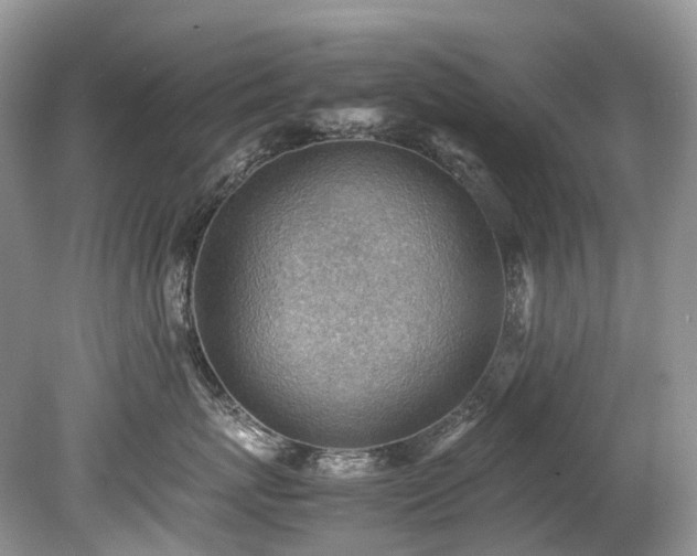 X0000079340767200611251857