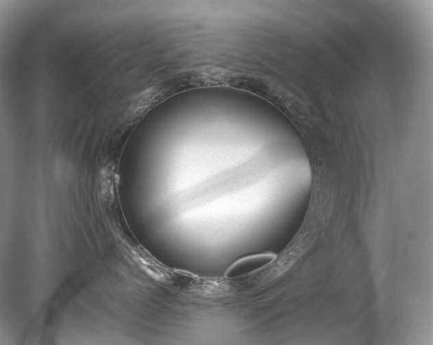 X0000079340768200611251857