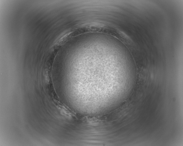X0000079340774200611251856