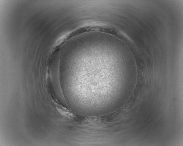 X0000079340775200611251856
