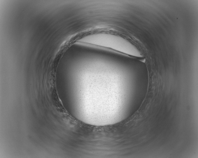 X0000079340776200611251856