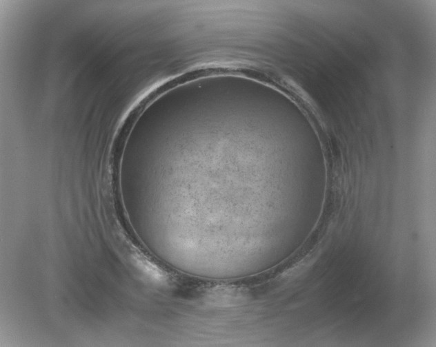 X0000079340779200611251856