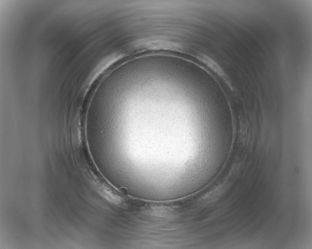 X0000079340782200611251856