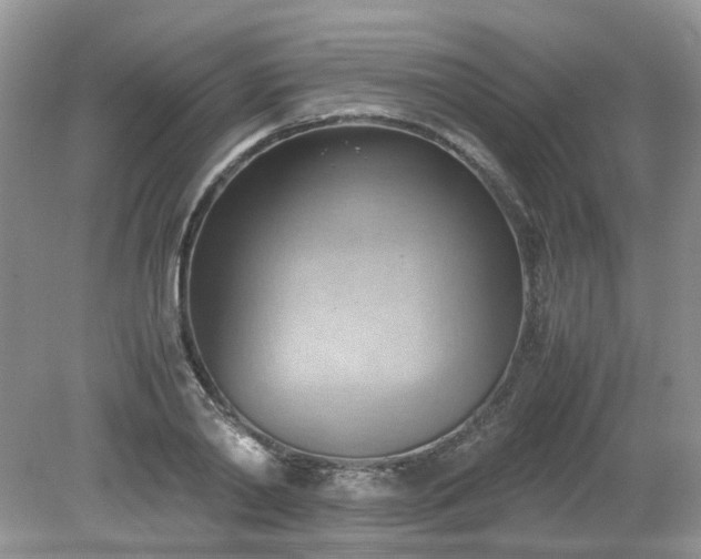 X0000079340790200611251855