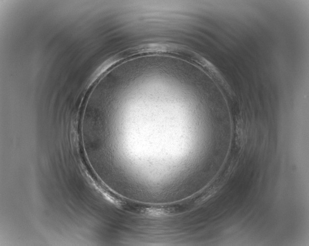 X0000079340794200611251855