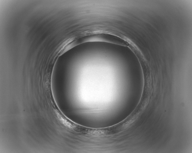 X0000079340801200611251855