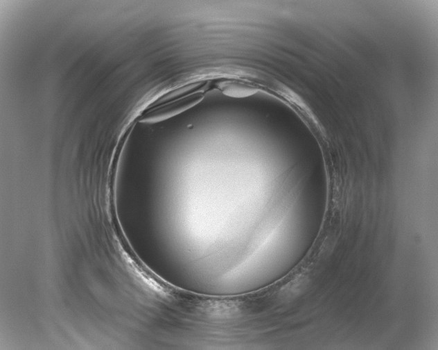 X0000079340802200611251855