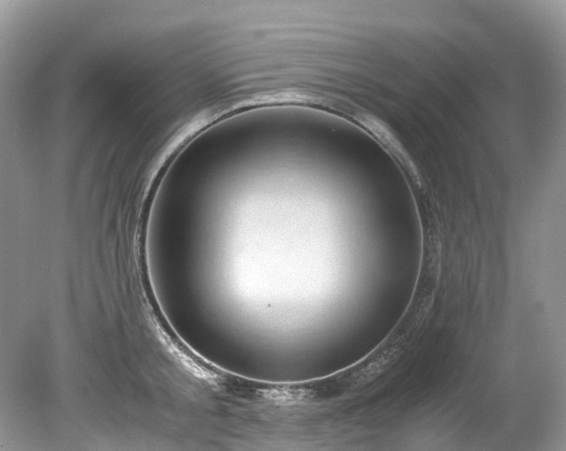 X0000079340805200611251855