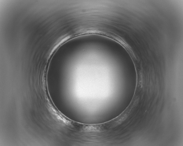 X0000079340806200611251855
