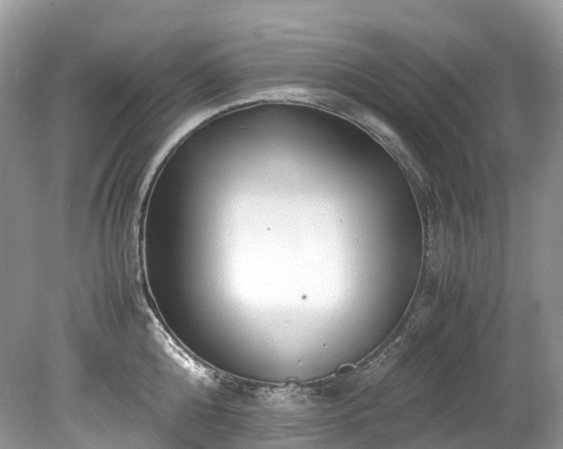 X0000079340808200611251855