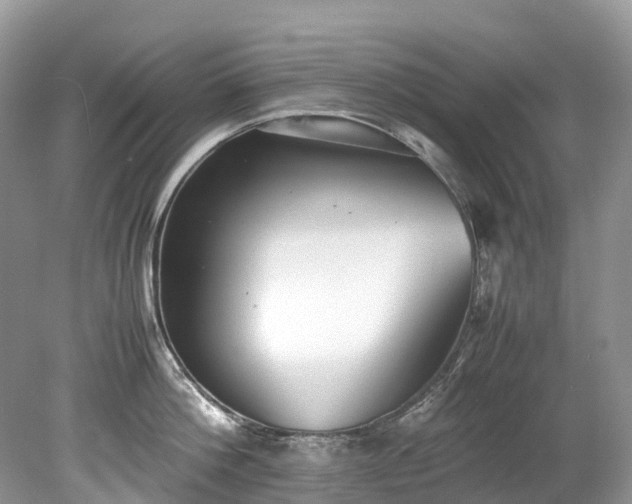 X0000079340812200611251855