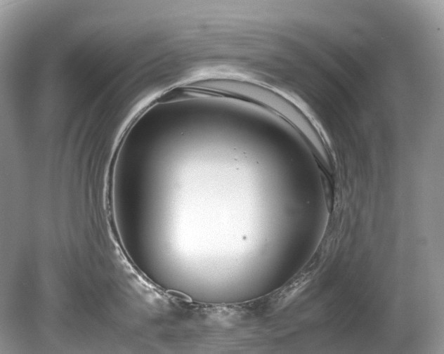 X0000079340815200611251855