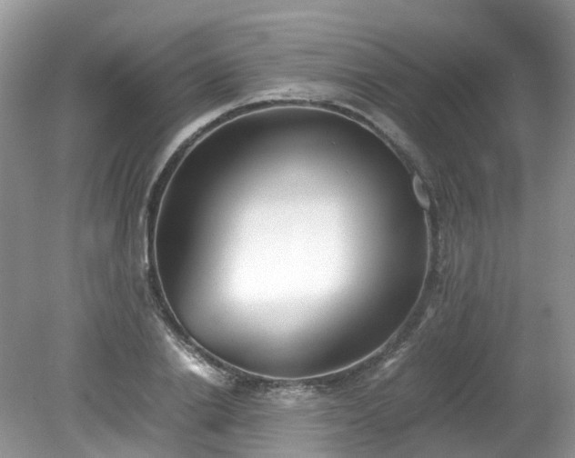 X0000079340838200611251854