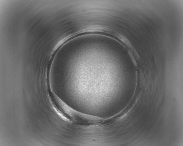 X0000079340842200611251855