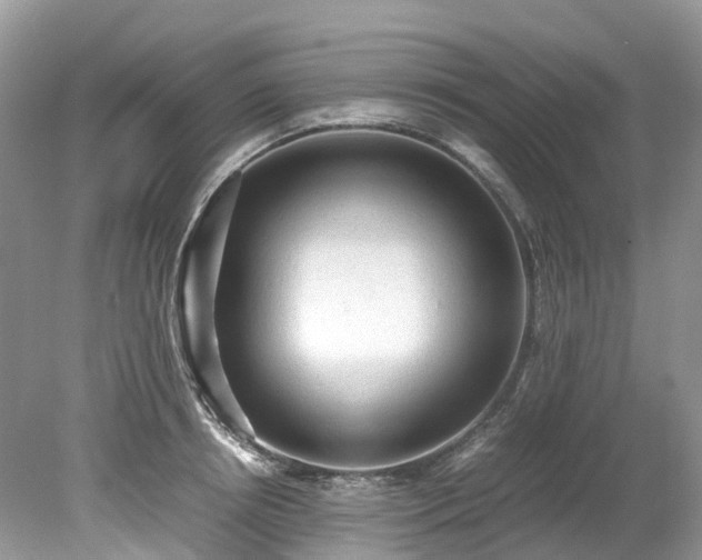 X0000079340850200611251855