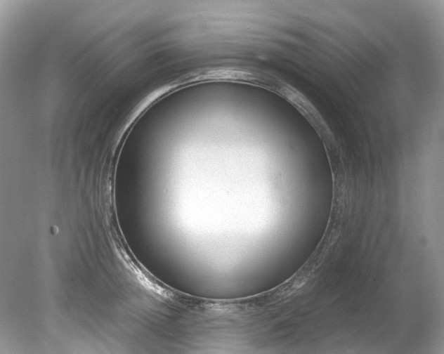 X0000079340852200611251855